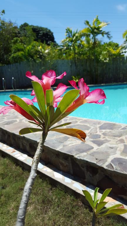 Villa Formosa Bohol Eksteriør bilde